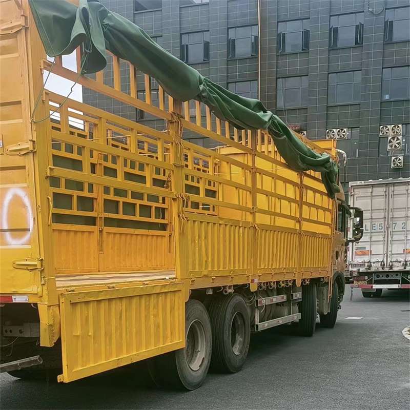 龙山区兰州市物流运输：多元服务与高效线路探秘